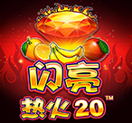 闪亮热火 20™