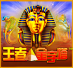 王者金字塔