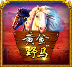 黄金野马